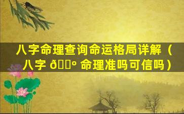 八字命理查询命运格局详解（八字 🐺 命理准吗可信吗）